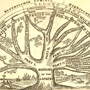 Map Name